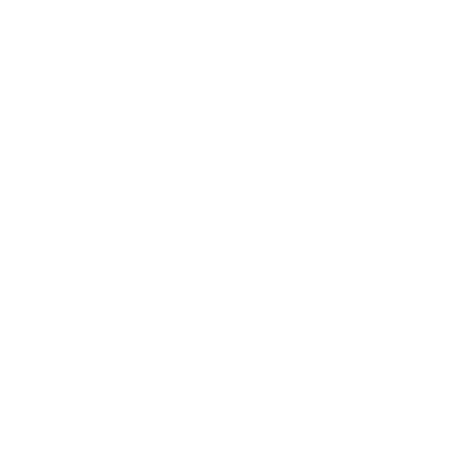 PARTNERS AND ASSOCIATES 